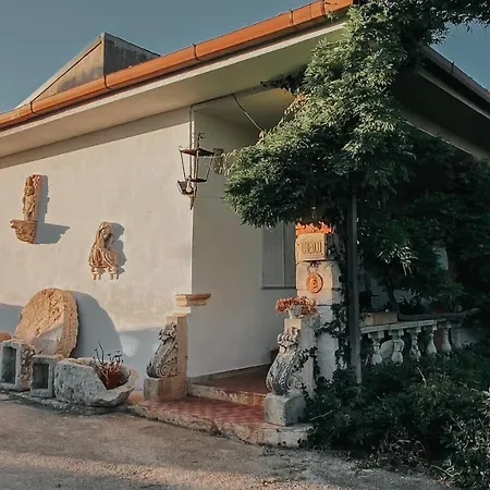 Museo Bruno